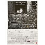 渡辺美里(MISATO) ポスター オーディナリー・ライフ 2015