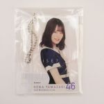 乃木坂46(のぎざか) 9th YEAR BIRTHDAY LIVE 山崎怜奈 個別アクリルカードキーホルダー 2期生ライブ