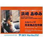 浜崎あゆみ(あゆ) ポスター ayumi hamasaki countdown live 2000-2001 スカパー