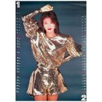 森高千里(もりたかちさと) ポスター カレンダー 1993 6枚組 切り離し有り バラ6枚 壁掛け