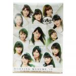 モーニング娘。(モー娘) ポスター 生田衣梨奈 直筆サイン入り　冷たい風と片思い ENDLESS SKY C 2015 告知