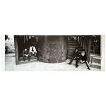 Mr.Children(ミスチル) IT'S A WONDERFUL WORLD ポスター DEAR WONDERFUL WORLD 横長