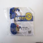 DREAMS COME TRUE(ドリカム) 史上最強の移動遊園地 DREAMS COME TRUE WONDERLAND 2019 ～ドリカムの夕べ～ ネックストラップ付きパスケース ドリクマIDカードケース