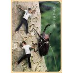 ゆず(YUZU) ファンクラブ会報 ゆず誌 No.012