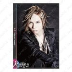 acid black cherry(abc) tour 『Shangri-la』 Encore Season & Final Season クリアポスター