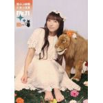 堀江由衣(ほっちゃん)  ファンクラブ会報 黒ネコ同盟 ひみつ文書 File.071