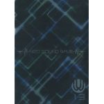 UVERworld(ウーバーワールド)  ファンクラブ会報 NEO SOUND WAVE vol.013