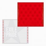 EXILE(エグザイル) EXILE LIVE TOUR 2013 “EXILE PRIDE” 追加公演 スターハンドタオル2枚セット