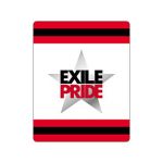 EXILE(エグザイル) EXILE LIVE TOUR 2013 “EXILE PRIDE” EXILE PRIDE リストバンド
