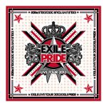 EXILE(エグザイル) EXILE LIVE TOUR 2013 “EXILE PRIDE” EXILE PRIDE バンダナ