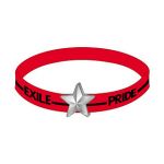 EXILE(エグザイル) EXILE LIVE TOUR 2013 “EXILE PRIDE” EXILE PRIDE ゴムブレス　レッド