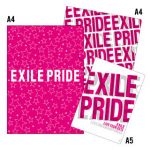 EXILE(エグザイル) EXILE LIVE TOUR 2013 “EXILE PRIDE” グラフィック　クリアファイル