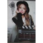 ファンクラブ会報  family meeting vol.006