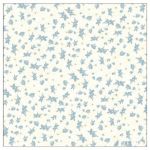 スピッツ(spitz) SPITZ JAMBOREE TOUR 2013-2014 風呂敷