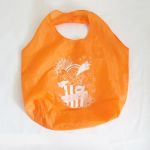 AAA(トリプルエー) AAA TOUR 2009?A depArture pArty? テイクアウトバッグ