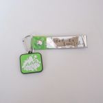 AAA(トリプルエー) AAA ARENA TOUR 2016 -LEAP OVER- 銀テープホルダー(緑)