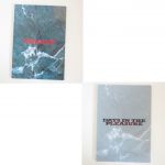 B'z(ビーズ) 限定販売 DAYS IN THE PLEASURE 91