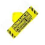 ポルノグラフィティ(porno) 横浜・淡路ロマンスポルノ'08?10イヤーズ ギフト? フード付スポーツタオル