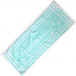 田村ゆかり(ゆかりん) LOVE LIVE 2008 *Chelsea Girl* スポーツタオル(グリーン)