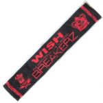 BREAKERZ(ブレイカーズ) LIVE 2009 WISH in 日本武道館 マフラータオル