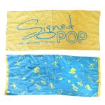 秦基博(はたもとひろ) Signed POP TOUR 2013 ダブルデザインフェイスタオル