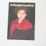 渡辺美里(MISATO) その他 パンフレット(LUCKY) 1991