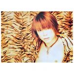 T.M.Revolution(西川貴教) ポスター wild rush 1999