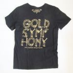 AAA(トリプルエー) ARENA TOUR 2014 -Gold Symphony- Tシャツ(ツアー前半)