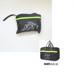 AAA(トリプルエー) AAA ARENA TOUR 2015 10th Anniversary -Attack All Around- ナイロンボストンバッグ