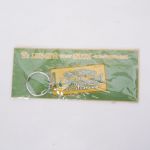 B'z(ビーズ) LIVE-GYM 2002 GREEN キーホルダー