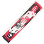 VAMPS(HYDEソロ) LIVE 2010 BEAUTY AND THE BEAST マフラータオル