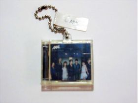 AAA(トリプルエー) アミューズメント景品 ミニチュアCDコレクション(Hide-away)