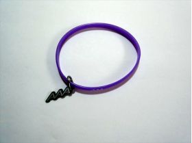 AAA(トリプルエー) a-nation’12 シリコンバンド(紫)