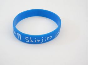 AAA(トリプルエー) AAA 10th Anniversary 代々木国立競技場 シリコンバンド(青)