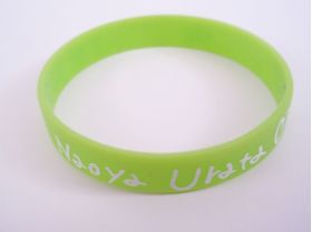 AAA(トリプルエー) AAA 10th Anniversary 代々木国立競技場 シリコンバンド(緑)