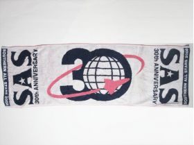 サザンオールスターズ(SAS) 真夏の大感謝祭(30周年) スポーツタオル