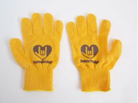 ソナーポケット(ソナポケ) ソナポケイズム DE LA SPECIAL ～冬の陣～ in 日本ガイシホール 手袋