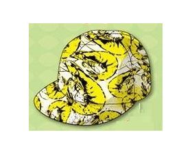 私立恵比寿中学(エビ中) 夏のファミリー遠足 略してファミえん in 河口湖2013 エビ盛りキャップ