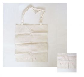 RADWIMPS(ラッド) 絶体延命ツアー トートバッグ