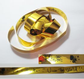 ナオト・インティライミ(NAOTO) LIVE キャラバン 2013@ARENA Nice catch the moment！ 銀テープ