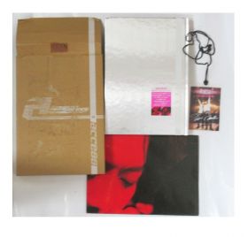 access(アクセス) その他 写真集 TOUR 2002 CROSSBRIDGE THE DOCUMENT ポスター アクセスパス 輸送箱 付き