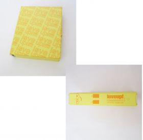 ポルノグラフィティ(porno) 限定販売 会報ファイル(イエロー）