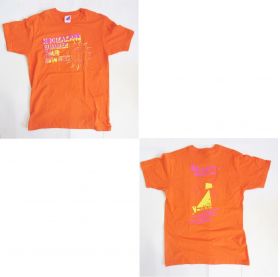 乃木坂46(のぎざか) 真夏の全国ツアー2014 Tシャツ(大阪)