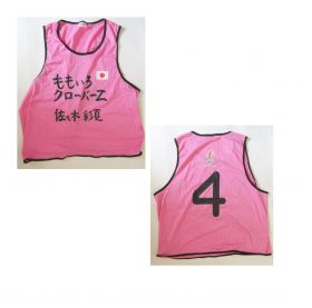 ももいろクローバーZ(ももクロ) ももクロ夏のバカ騒ぎ WORLD SUMMER DIVE 画伯のバカ騒ぎビブス(ピンク)