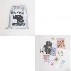 ポルノグラフィティ(porno) 14thライヴサーキット "The dice are cast" 防サイセット