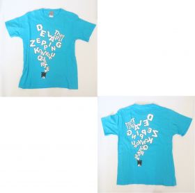 くるり(QURULI) その他 対バンツアー2008　デラぜっぴん ?混浴四重奏? 2008年 ELLEGARDEN 9mm 等