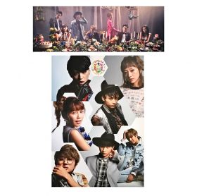AAA(トリプルエー) AAA 10th Anniversary SPECIAL 野外LIVE in 富士急ハイランド 2枚セット