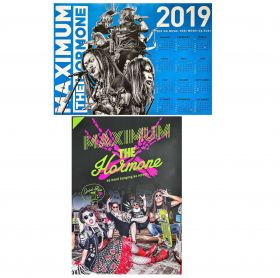 マキシマムザホルモン(mth) ポスター 2019 カレンダー ホルモン、VAP抜けるってよ。 両面