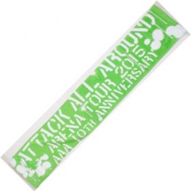 AAA(トリプルエー) AAA ARENA TOUR 2015 10th Anniversary -Attack All Around- マフラータオル(緑)