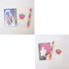 X JAPAN(エックス) hide memorial summit (2008) パンフレット